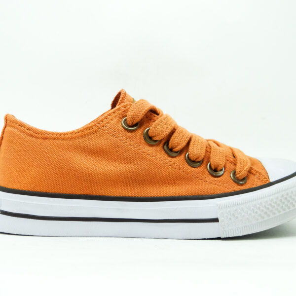 ZAPATILLA JOHN FOOS DYE FALL TIGER